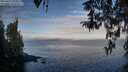 ./images/koeye/fitz-hugh/20260411/fitz-hugh20260411_080001M.jpg