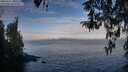 ./images/koeye/fitz-hugh/20260411/fitz-hugh20260411_080501M.jpg
