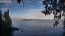 ./images/koeye/fitz-hugh/20260411/fitz-hugh20260411_081001M.jpg