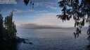 ./images/koeye/fitz-hugh/20260411/fitz-hugh20260411_081501M.jpg