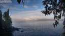 ./images/koeye/fitz-hugh/20260411/fitz-hugh20260411_082501M.jpg