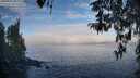 ./images/koeye/fitz-hugh/20260411/fitz-hugh20260411_083002M.jpg