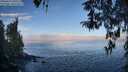 ./images/koeye/fitz-hugh/20260411/fitz-hugh20260411_090501M.jpg