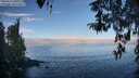 ./images/koeye/fitz-hugh/20260411/fitz-hugh20260411_091001M.jpg