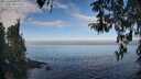 ./images/koeye/fitz-hugh/20260411/fitz-hugh20260411_093501M.jpg