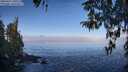 ./images/koeye/fitz-hugh/20260411/fitz-hugh20260411_100501M.jpg