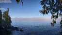 ./images/koeye/fitz-hugh/20260411/fitz-hugh20260411_101001M.jpg