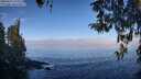 ./images/koeye/fitz-hugh/20260411/fitz-hugh20260411_101502M.jpg