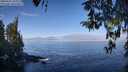 ./images/koeye/fitz-hugh/20260411/fitz-hugh20260411_103001M.jpg