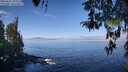 ./images/koeye/fitz-hugh/20260411/fitz-hugh20260411_103501M.jpg