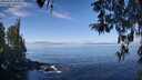 ./images/koeye/fitz-hugh/20260411/fitz-hugh20260411_104001M.jpg