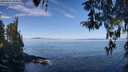 ./images/koeye/fitz-hugh/20260411/fitz-hugh20260411_104501M.jpg