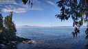 ./images/koeye/fitz-hugh/20260411/fitz-hugh20260411_105001M.jpg