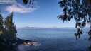 ./images/koeye/fitz-hugh/20260411/fitz-hugh20260411_105501M.jpg