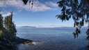./images/koeye/fitz-hugh/20260411/fitz-hugh20260411_110502M.jpg