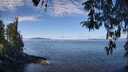 ./images/koeye/fitz-hugh/20260411/fitz-hugh20260411_111001M.jpg