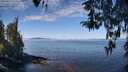 ./images/koeye/fitz-hugh/20260411/fitz-hugh20260411_111501M.jpg