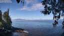 ./images/koeye/fitz-hugh/20260411/fitz-hugh20260411_112001M.jpg