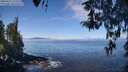 ./images/koeye/fitz-hugh/20260411/fitz-hugh20260411_112501M.jpg