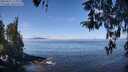 ./images/koeye/fitz-hugh/20260411/fitz-hugh20260411_113001M.jpg