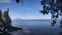./images/koeye/fitz-hugh/20260411/fitz-hugh20260411_114001M.jpg