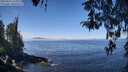 ./images/koeye/fitz-hugh/20260411/fitz-hugh20260411_114501M.jpg