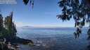 ./images/koeye/fitz-hugh/20260411/fitz-hugh20260411_115502M.jpg