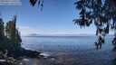 ./images/koeye/fitz-hugh/20260411/fitz-hugh20260411_120501M.jpg