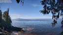 ./images/koeye/fitz-hugh/20260411/fitz-hugh20260411_121002M.jpg