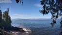 ./images/koeye/fitz-hugh/20260411/fitz-hugh20260411_121501M.jpg