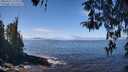 ./images/koeye/fitz-hugh/20260411/fitz-hugh20260411_122001M.jpg