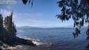 ./images/koeye/fitz-hugh/20260411/fitz-hugh20260411_122502M.jpg