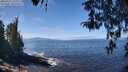 ./images/koeye/fitz-hugh/20260411/fitz-hugh20260411_123001M.jpg