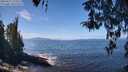 ./images/koeye/fitz-hugh/20260411/fitz-hugh20260411_123501M.jpg
