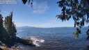 ./images/koeye/fitz-hugh/20260411/fitz-hugh20260411_124501M.jpg