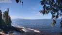 ./images/koeye/fitz-hugh/20260411/fitz-hugh20260411_125001M.jpg