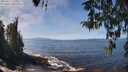 ./images/koeye/fitz-hugh/20260411/fitz-hugh20260411_125501M.jpg