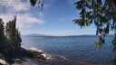 ./images/koeye/fitz-hugh/20260411/fitz-hugh20260411_130502M.jpg