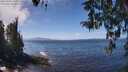 ./images/koeye/fitz-hugh/20260411/fitz-hugh20260411_131001M.jpg