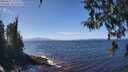 ./images/koeye/fitz-hugh/20260411/fitz-hugh20260411_132502M.jpg