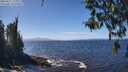 ./images/koeye/fitz-hugh/20260411/fitz-hugh20260411_133002M.jpg