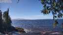./images/koeye/fitz-hugh/20260411/fitz-hugh20260411_133501M.jpg