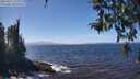 ./images/koeye/fitz-hugh/20260411/fitz-hugh20260411_134001M.jpg
