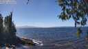 ./images/koeye/fitz-hugh/20260411/fitz-hugh20260411_134501M.jpg