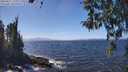 ./images/koeye/fitz-hugh/20260411/fitz-hugh20260411_135002M.jpg