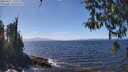 ./images/koeye/fitz-hugh/20260411/fitz-hugh20260411_135501M.jpg