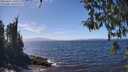 ./images/koeye/fitz-hugh/20260411/fitz-hugh20260411_140501M.jpg