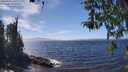 ./images/koeye/fitz-hugh/20260411/fitz-hugh20260411_141001M.jpg