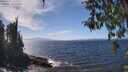 ./images/koeye/fitz-hugh/20260411/fitz-hugh20260411_141501M.jpg