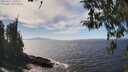 ./images/koeye/fitz-hugh/20260411/fitz-hugh20260411_143001M.jpg